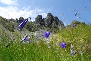 PONTERANICA CENTRALE (2372 m) in solitaria dai Piani dell'Avaro per i Laghetti di Ponteranica il 31 luglio 2017 - FOTOGALLERY